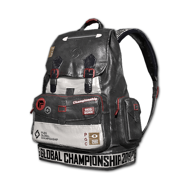PGC 2019 Backpack (Level 2) - Steam Community Market