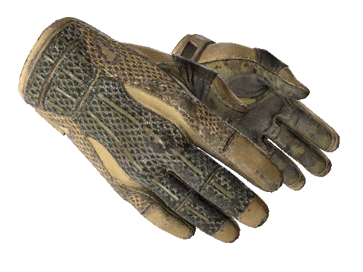 Sport Gloves | Arid