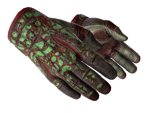 Sport Gloves | Bronze Morph