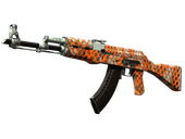 AK-47 | Safety Net (Field-Tested)