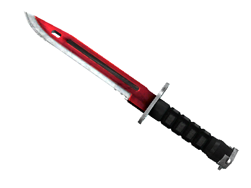Bayonet | Autotronic