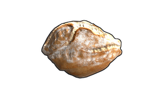 Sourdough Bread