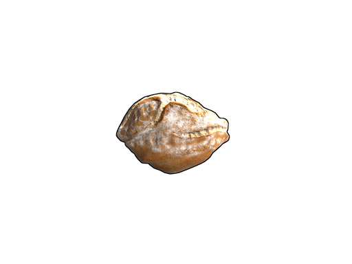 Sourdough Bread