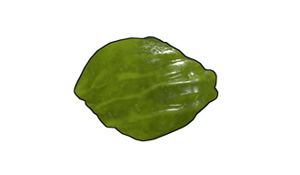 Acid Rock