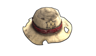 Cowboy Hat