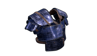 Solar Panel Vest