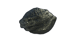 Dragon Egg