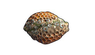 Honeycomb
