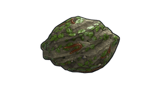 Swamp Rock