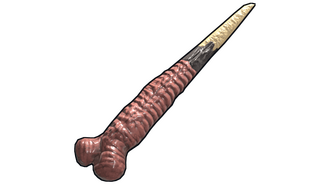 Flesh Knife