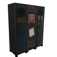 Cobalt Security Locker