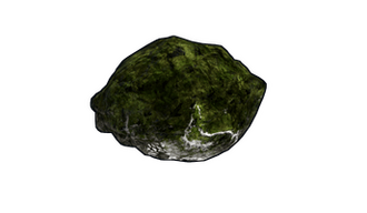 Mossy Fossil