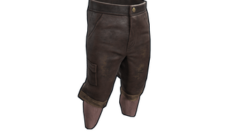 Homemade Shorts