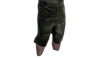 Camo Shorts