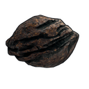 Meteorite