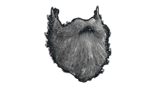 Santa Beard