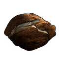 Coconut Rock