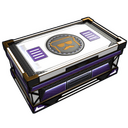 disguisedtoast Large Box