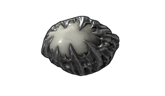 Heart of Chaos Rock