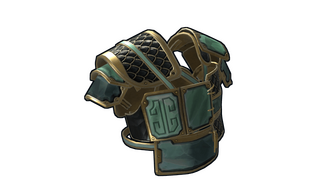 Jade Dragon Roadsign Vest