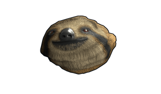 Sloth Rock