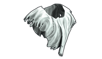 Ghost Guise Poncho