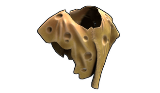 Cheese Poncho