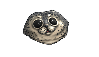 Harbor Seal Rock