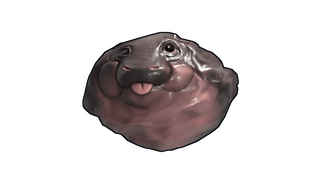 Baby Hippo Rock