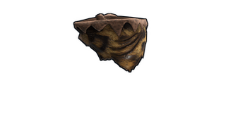 Neanderthal Bandana