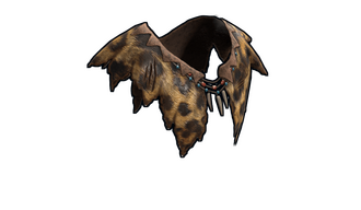 Neanderthal Poncho