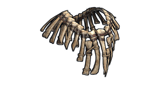 Bone Armor Poncho