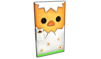 Hatched Door