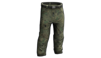 Flashbacks Pants