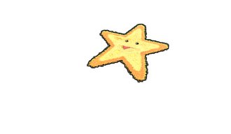 Starfish Rug