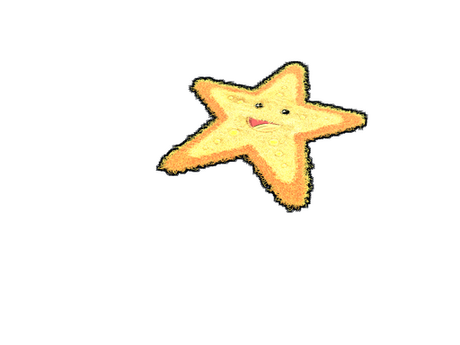 Starfish Rug