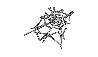 Spider Web Rug