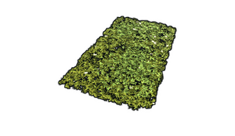 Grass Rug