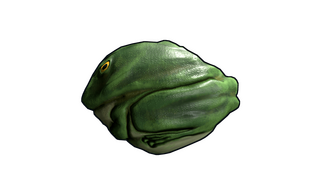 Frog Rock