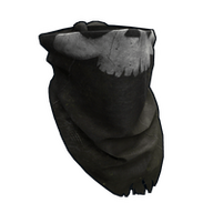 Pirate Bandana