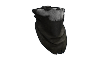 Pirate Bandana