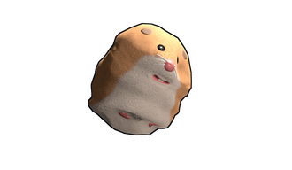 Hamster Rock