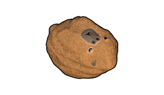 Capybara Rock