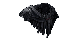 Raven Poncho