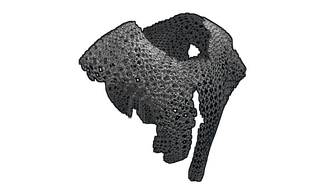 Chainmail Poncho
