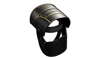Black Gold Helmet