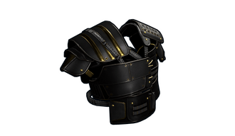 Black Gold Vest