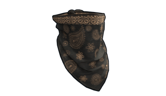 Paisley Bandana