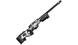 Polar Bear L96