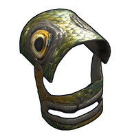 Fish Helmet
